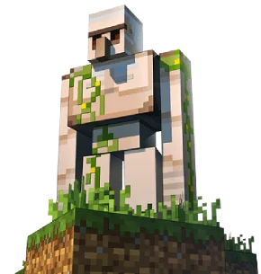 Minecraft server direct geleverd